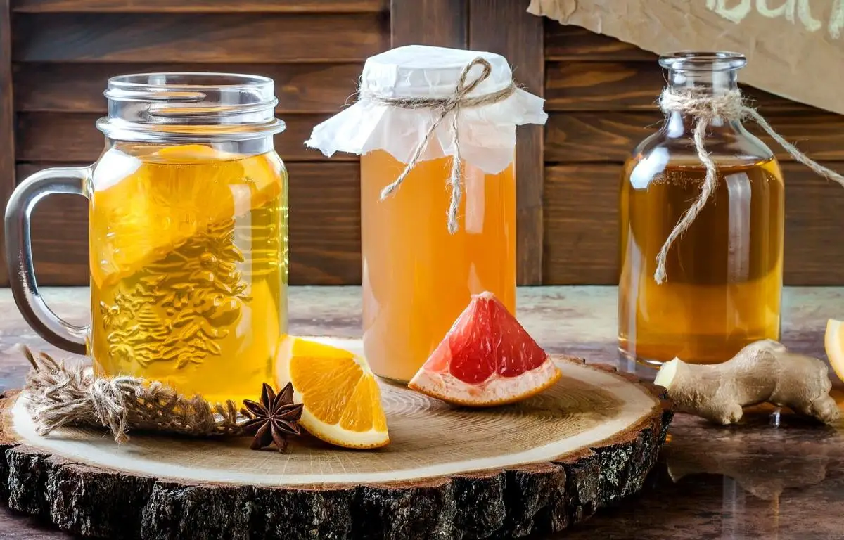 Fermented Drinks